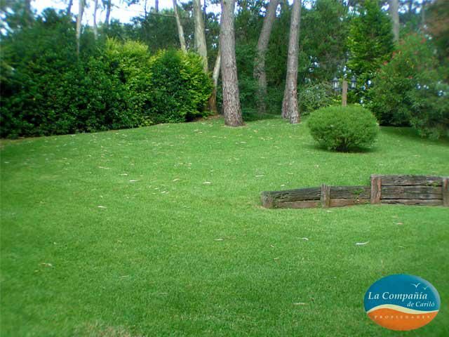 place photo 48