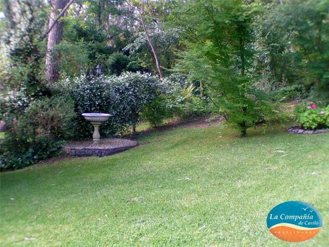 place photo 46