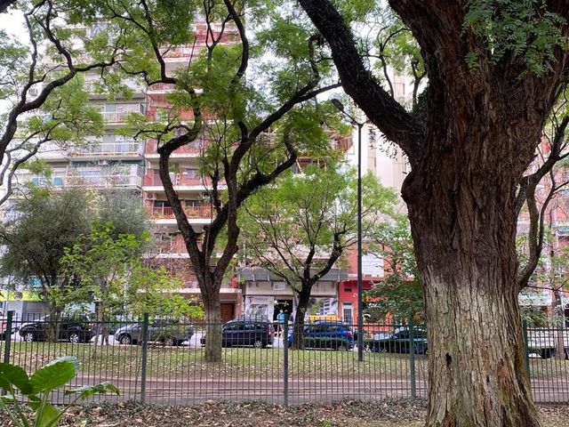 place photo 24