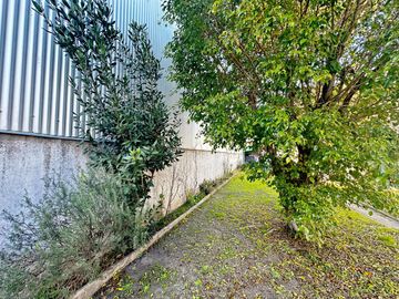 place photo 29