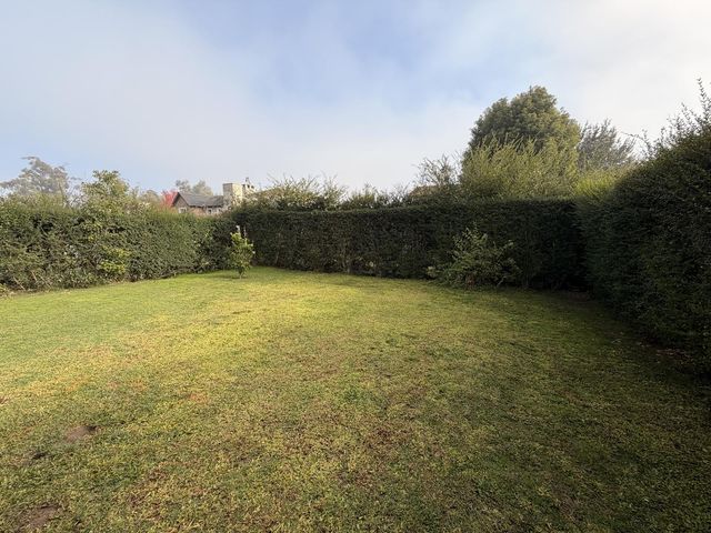 place photo 39