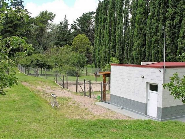 place photo 41