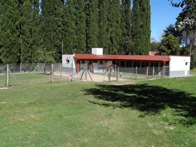 place photo 47