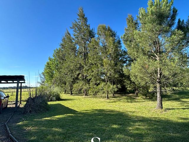 place photo 30