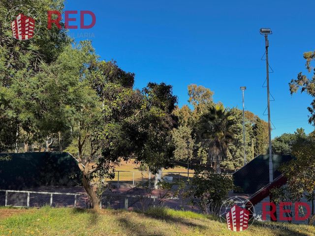 place photo 43