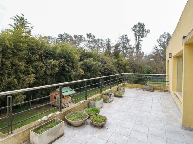 place photo 57