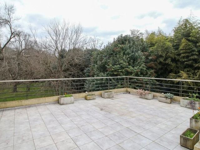 place photo 54