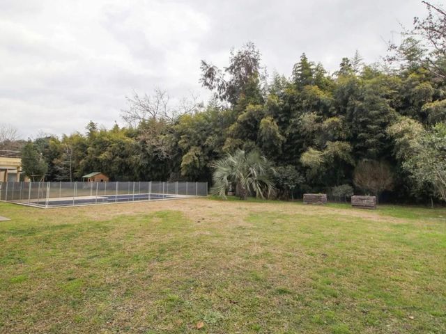 place photo 42