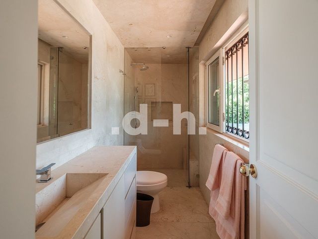 place photo 41