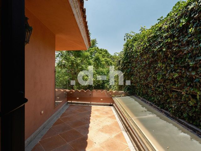 place photo 44