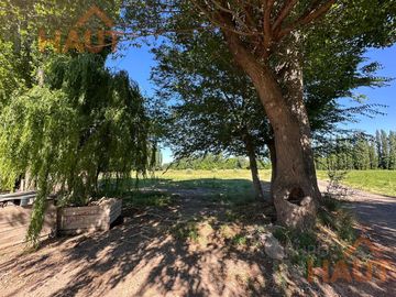 place photo 36