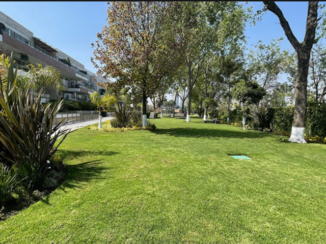 place photo 30