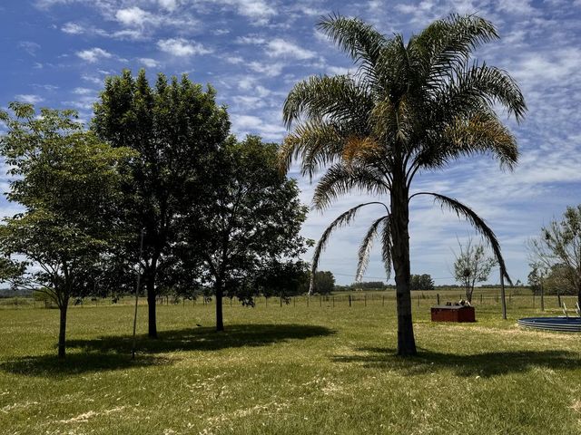 place photo 41