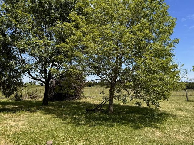 place photo 34