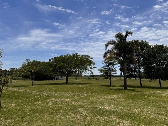 place photo 32
