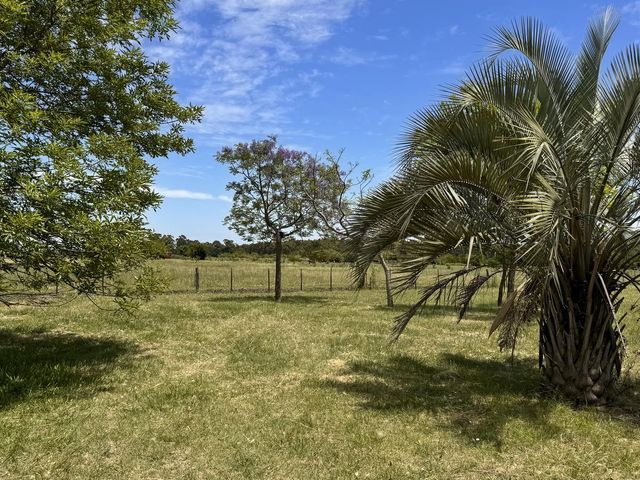 place photo 33