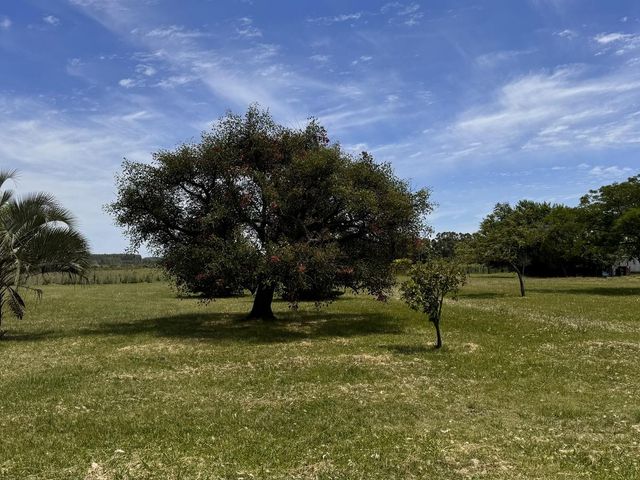 place photo 31