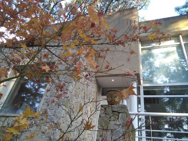 place photo 65