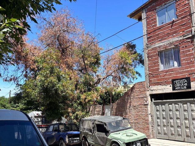 place photo 22