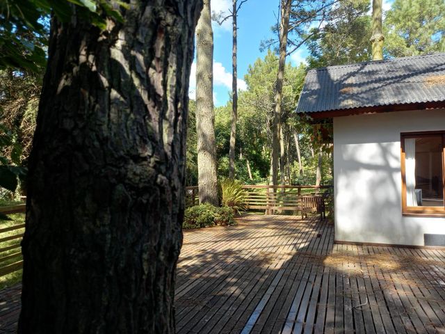 place photo 57