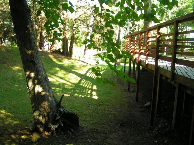 place photo 46