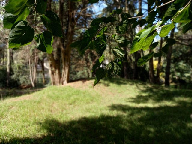 place photo 45