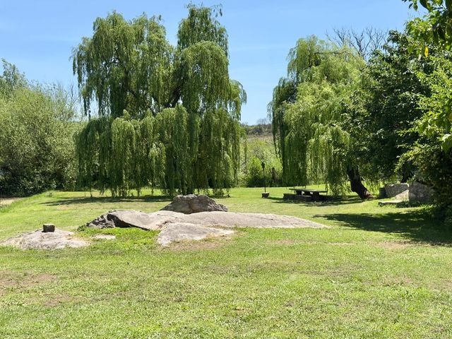 place photo 36
