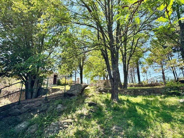 place photo 45