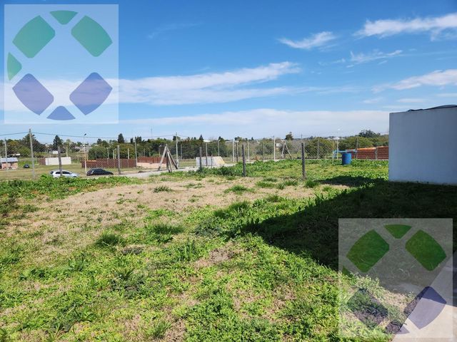 place photo 21
