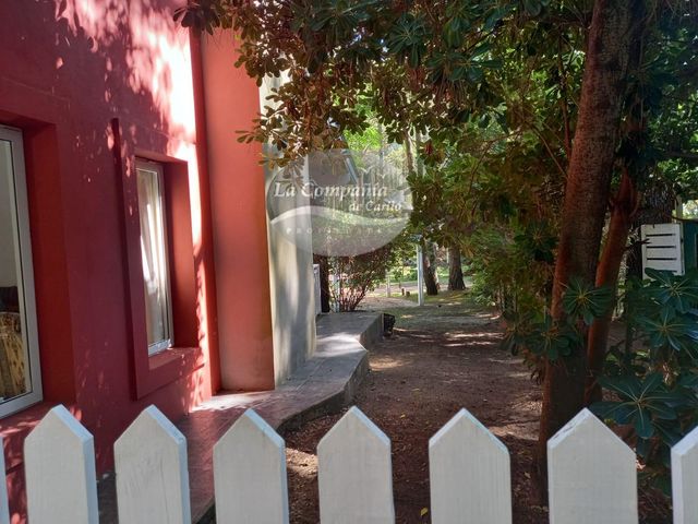 place photo 53
