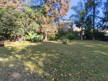 place photo 30