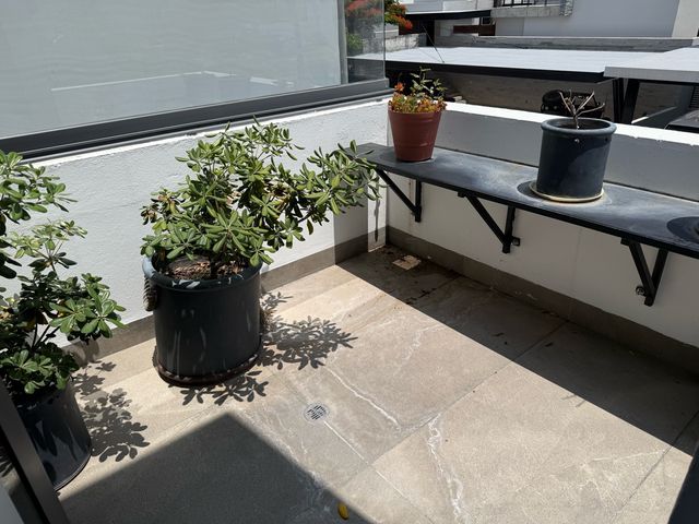 place photo 40