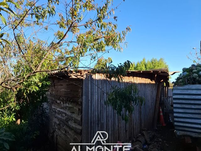 place photo 24