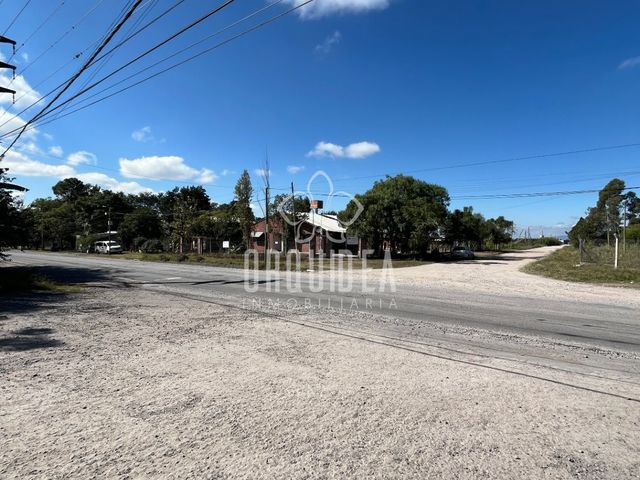 place photo 49