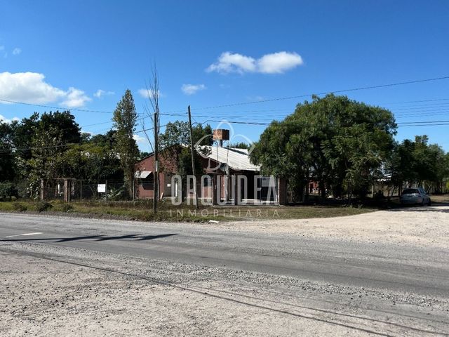 place photo 48