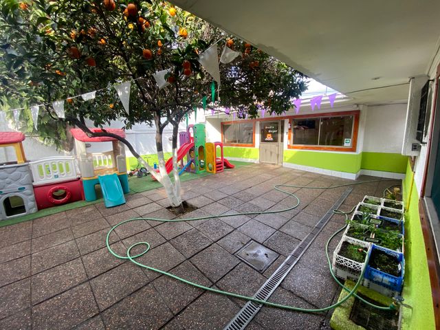 place photo 11