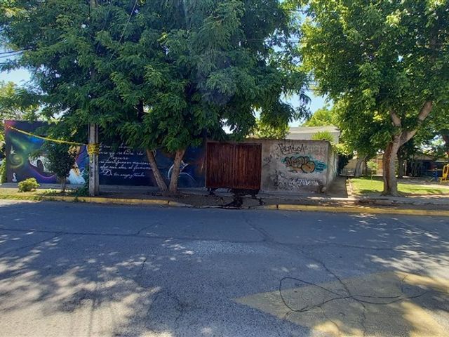 place photo 23