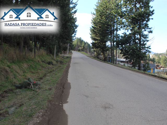 place photo 17