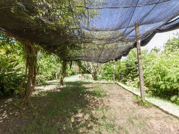 place photo 46