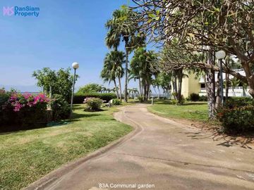 place photo 37