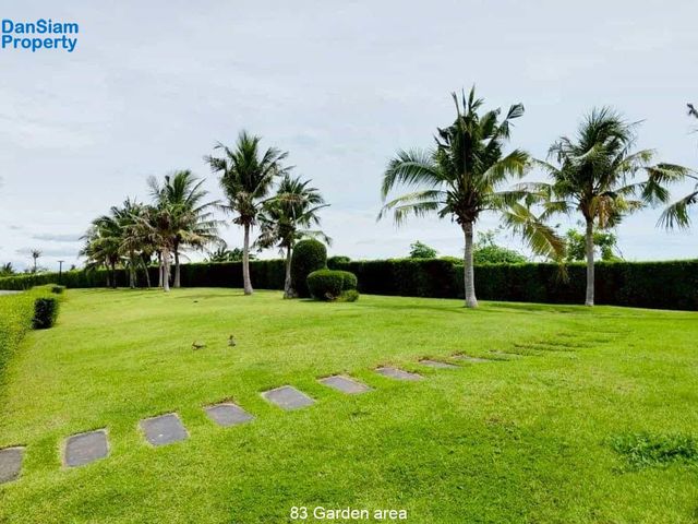 place photo 43