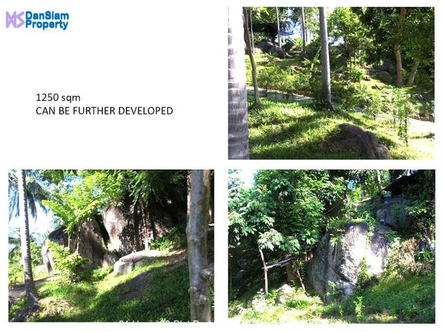 place photo 16
