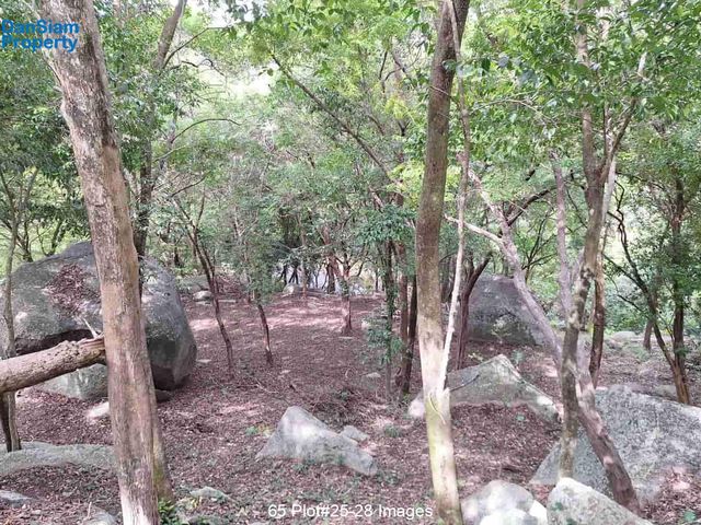 place photo 24