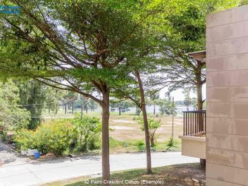 place photo 16