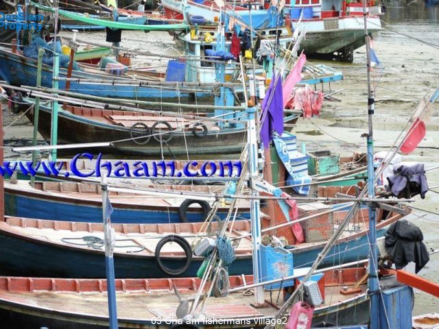 place photo 17