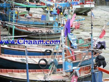 place photo 17