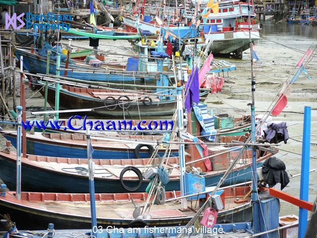 place photo 29