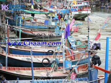 place photo 29