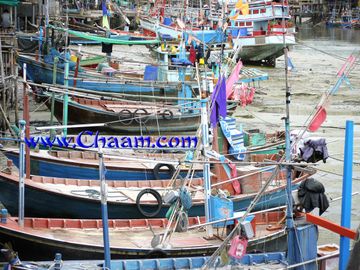 place photo 18