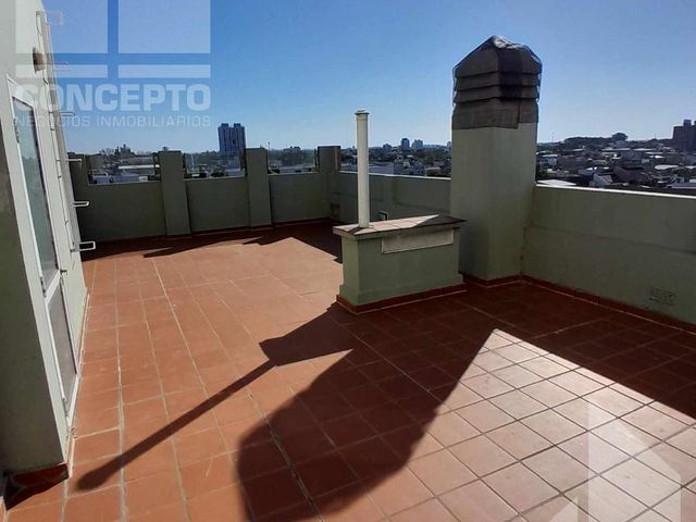 place photo 24